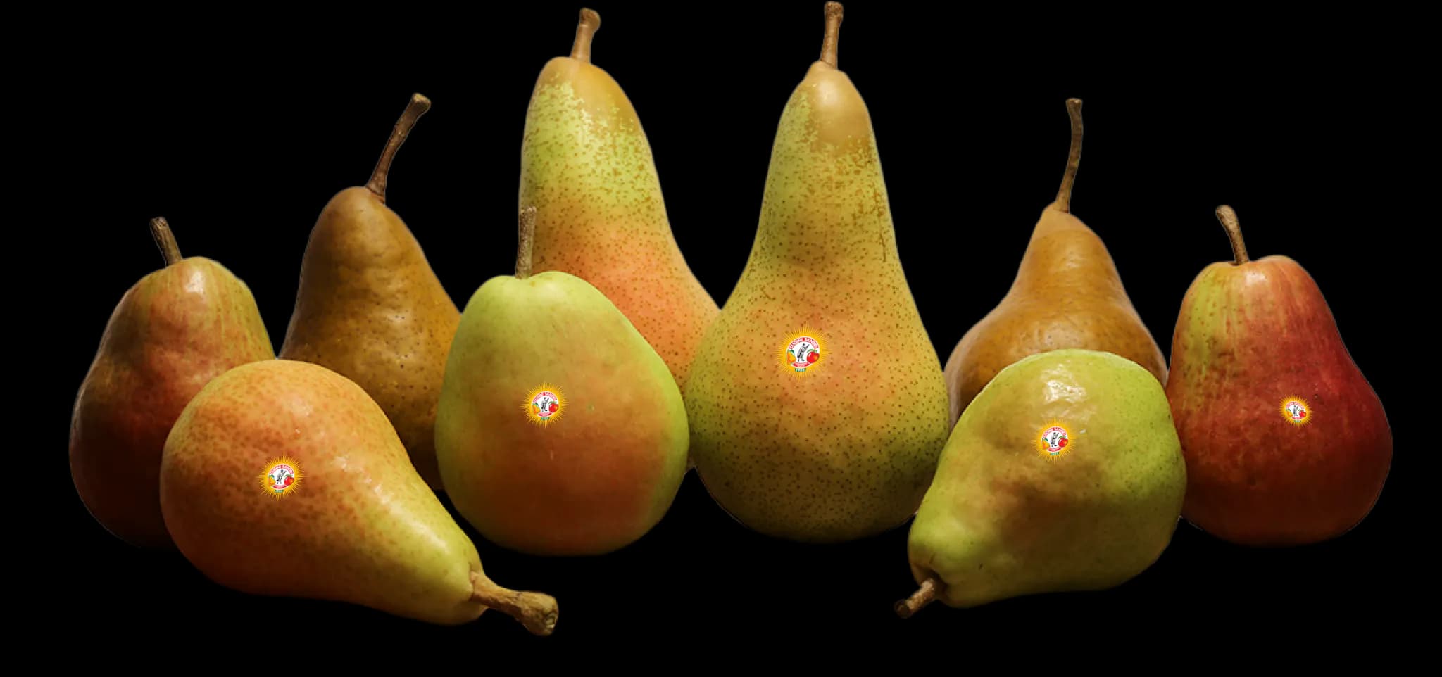 pere e frutta - cugini sandri srl